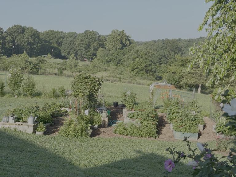 dove garden